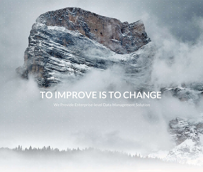 Brand Identity | Website | Promotional Materials 