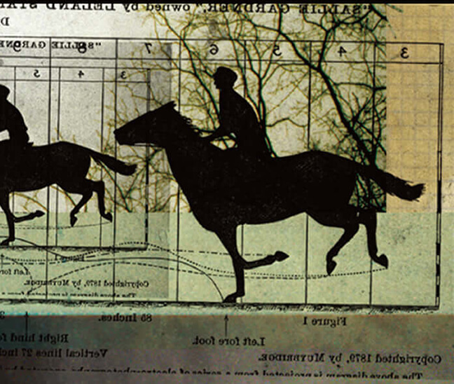 視覺創意｜宣傳品設計｜藝術指導